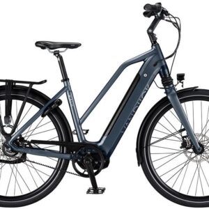 VanDijck Kalii 3.0 Belt